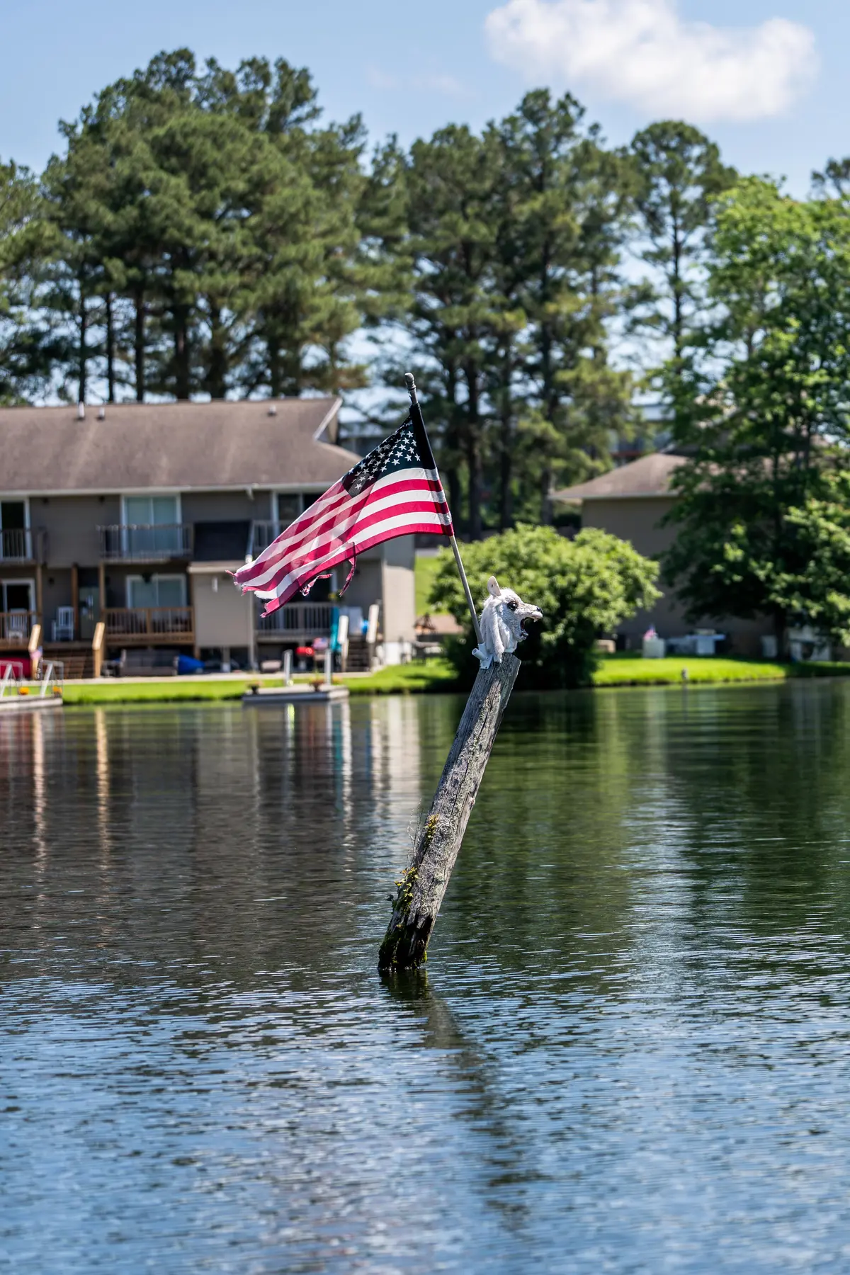 Vertical view of the dock and Lake Holiday shoreline